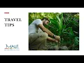 Maui Travel Tips Culture