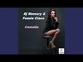 Download Lagu Camelia (Dj Alf Radio Edit)