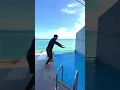 Download Lagu The best resorts in Malaysia