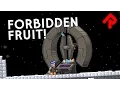 10 Powerful Starbound Items You re Not Supposed to Have Starbound s Forbidden Fruit