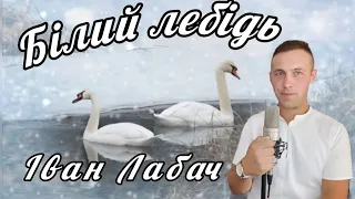 ПЕРШИЙ СНІГ ВАНЯ ЛАБАЧ Це не яблуні цвіт Білий лебідь 