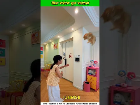 Mina & Billo Babake Bhut Baniyea dilošš± #shorts #funny #cat #ytshorts