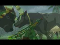 Water Buffalo Link s The Legend of Zelda Tears of the Kingdom MOOOOOOOOO Adventure