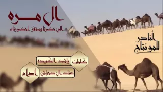 جديد وحصري شيلة ال مره كلمات راشد الكبيده اداء المبدع عناد ال دحباش 