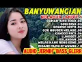 Lagu OSING KOPLO BANYUWANGIAN LOOR PENAK TENAN IKI WESS TOH SIAP NE KOPI MU GAYENG POOL