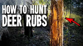 How to Hunt Deer Rubs - Dr Grant Woods