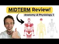 Ace Your A P I Midterm Practice Questions Step-by-Step Explanations