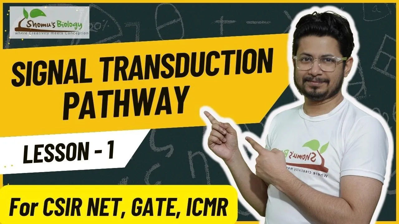 Signal transduction pathway | How signal transduction pathway works?