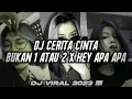DJ VIRAL BUKAN 1 ATAU 2 X HEY APA APA TIKTOK 2023 !!!!!! ( BryanRfldi )