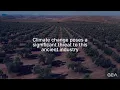Download Lagu GEA works with olive oil producers through challenging times