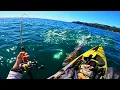 Download Lagu It Fed a Community?! (Insane Fishing)