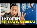 3 Key Steps to Transporting your Pets Overseas with an International Dog Shipper