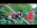 Download Lagu Bura Aaya Zamana  Manthan Dr  Madan Jhalta  Himachali Pahari Video Song  Hillywood Cinema