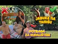 Download Lagu TIM BILDING JEZERO CREPAJA - JABUKA TAMIS ROSTILJ  PRIRODA  PIVO VODA 