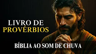 Provérbios [Sabedoria Eterna sob a Chuva de Serenidade] Bíblia Falada ao Som de Chuva