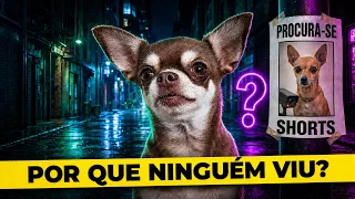 POR QUE NINGUÉM VIU ESSES 50 SHORTS DOS PEQUENOS PRÍNCIPES?