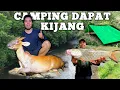 Download Lagu Camping hujan deras dapat kijang fishing pertualangan dalam hutan bermalam masak dan makan 