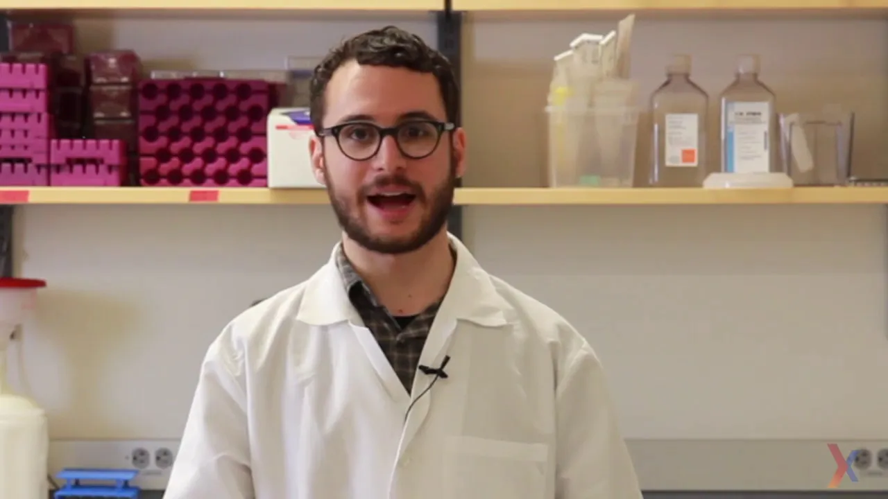 PCR Method Video