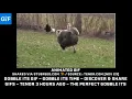 Gobble Its GIF Gobble Its Time Discove