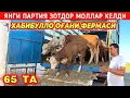 Download Lagu ЯНГИ ПАРТИЯ ЗОТДОР МОЛЛАР КЕЛДИ ХАБИБУЛЛО ОҒАНИ ФЕРМАСИ 25-АВГУСТ !!! ХОРАЗМ БОЗОР 