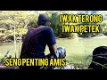 Download Lagu Asal mancing yang penting amis...