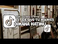 Download Lagu DJ EST CE QUE TU M’AIMES X DIMANA HATIMU SLOW VIRAL TIKTOK FU