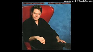 Download Robert Palmer And UB40 ‎– I'll Be Your Baby Tonight (Extended Versión) MP3