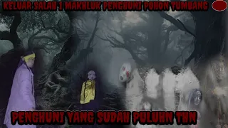 THE PRISON OF THE SUPERHEROUS REALITY EXCLUSIVELY INVITE THE IMPRISONED DEMIT THIS IS HOW IT 