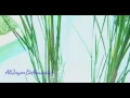 Download Lagu Revi Mariska - Jangan Aku di Pisahkan [ Mukjizat Cinta ]