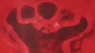 CASSIAN Script Belladonna Where I M From Official Audio 