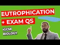 Eutrophication Exam Qs IGCSE Edexcel Biology