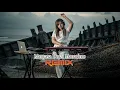 Download Lagu Manyasa Denai Manarimo - Silva Hayati | Remix