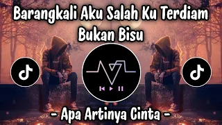 barangkali aku salah ku terdiam bukan bisu apa artinya cinta cover sound viral tiktok 2026