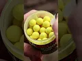 Lagu PB POP-UPS – THE PERFECT WINTER HOOKBAIT! DNA BAITS | CARP FISHING | FISHING BAIT
