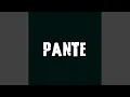 Pante