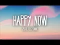 Download Lagu Zedd, Elley Duhé - Happy Now (Lyrics)