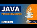 Java Important Question BCA 5th Sem CCSU Java