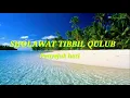 Download Lagu TIBBIL QULUB || sholawat syifa obat galau #penyejuk hati