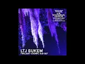 Download Lagu LTJ Bukem - Twilight Cosmic D\u0026B Set @ Tipper \u0026 Friends, Spirit Of Suwannee Music Park 19th May 2017