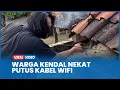 Kendal Resident Desperately Cuts WiFi Cable After Roof Is Used for Unauthorized Installation