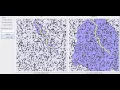 Compare A with Dijkstra algorithm