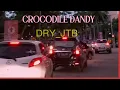 Download Lagu CROCODILE DANDY | BREAKBEAT