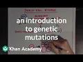 An introduction to genetic mutations Biomolecules MCAT Khan Academy