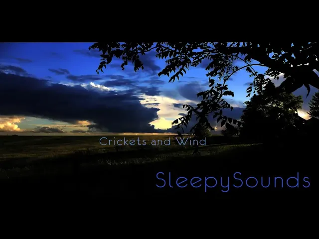 Crickets and Wind – 9 hours of relaxing sounds to help you fall asleep - White noise