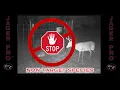 WILD HOG CONTROL JAGER PRO TV Show NON-TARGET SPECIES AT YOUR TRAP SITE