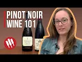 Pinot Noir Everything you need to know Grapes 101