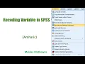 Recoding Variable in SPSS Amharic Part 2