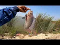 Download Lagu Mancing nila September 2025 Bottom Fishing TILAPIA FISH