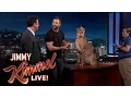 Download Lagu Wild Animals with Dave Salmoni