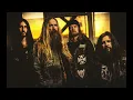 Black Label Society - I Never Dreamed 432hz